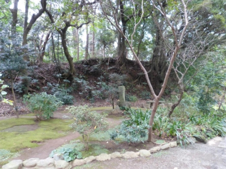 画像9